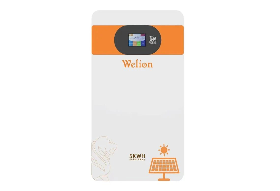 WELION LITHIUM BATTERY 100A 51.2V 5KW
