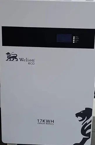 WELION LITHIUM BATTERY 315A 25.6V 8.2KW - ECO LEBANON